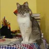 Отзыв от Нина Баженова